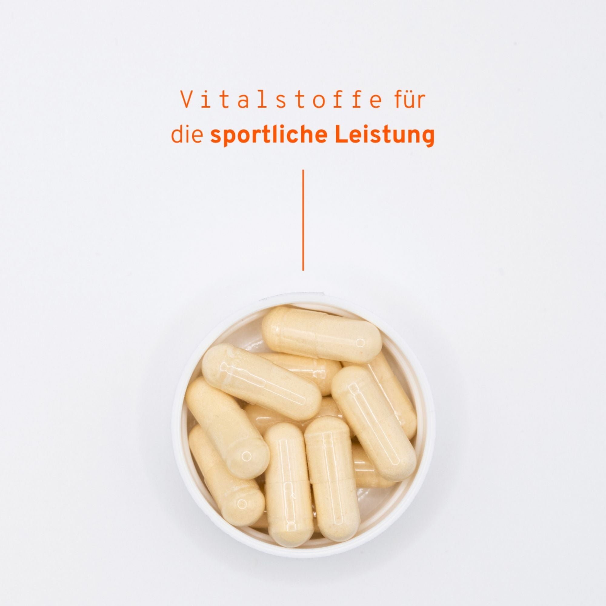 Frühlings-Bundle – Profelan® Natur & Oxano® Sport für Muskeln, Gelenke & Knorpel