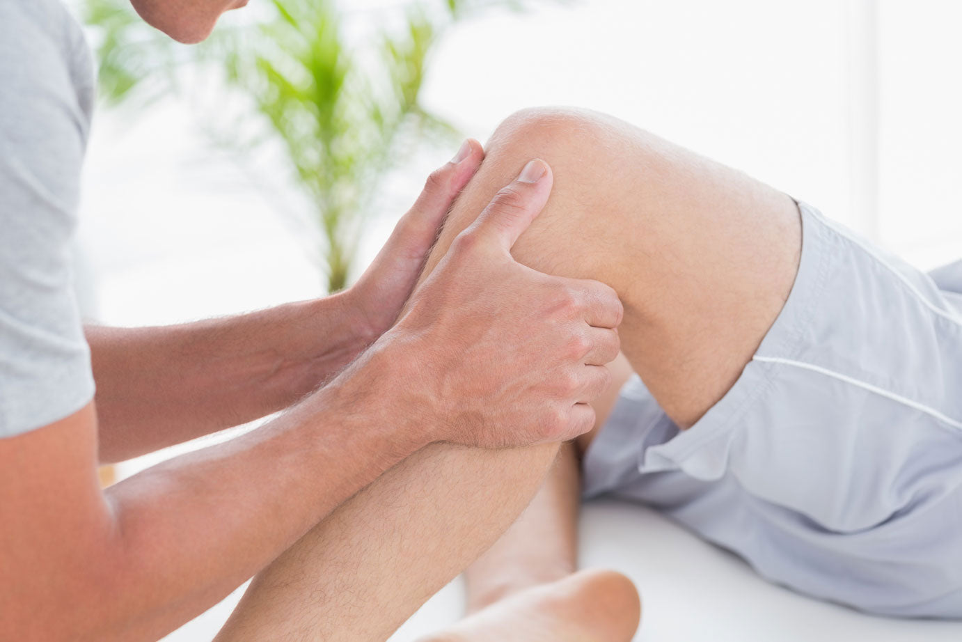 Dreh- und Angelpunkt Knie